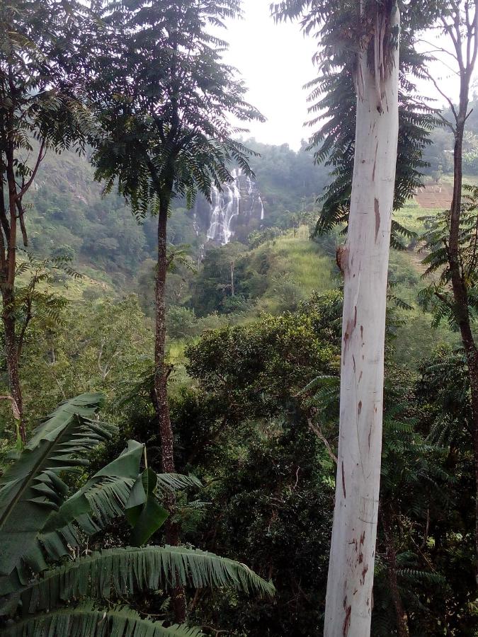 Nature's Glow Home Stay AND RESTAURANT - Bed and Breakfast Ella Town