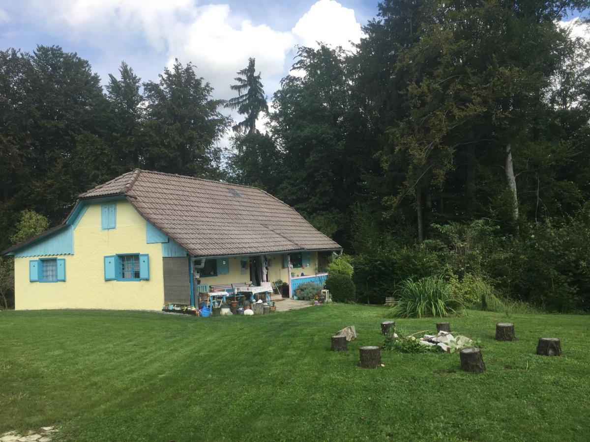 Blue Cottage - B&B Podvrh