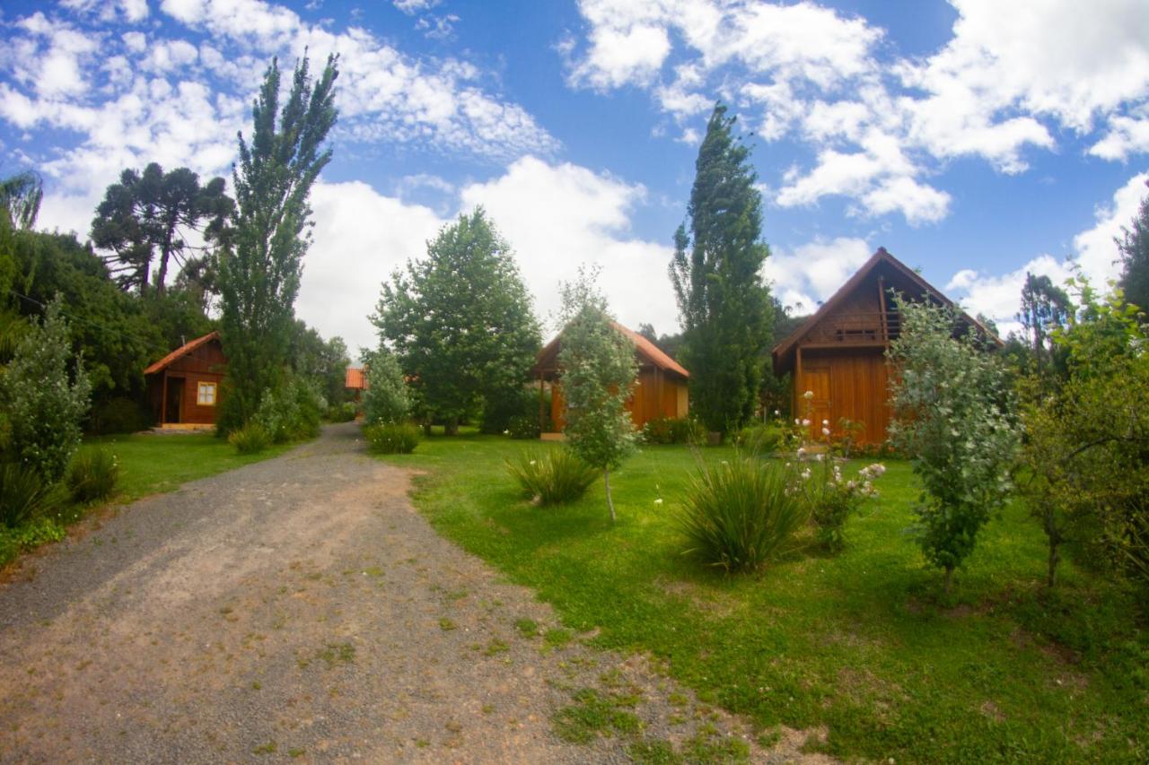 Executive Queen Room with Two Queen Beds