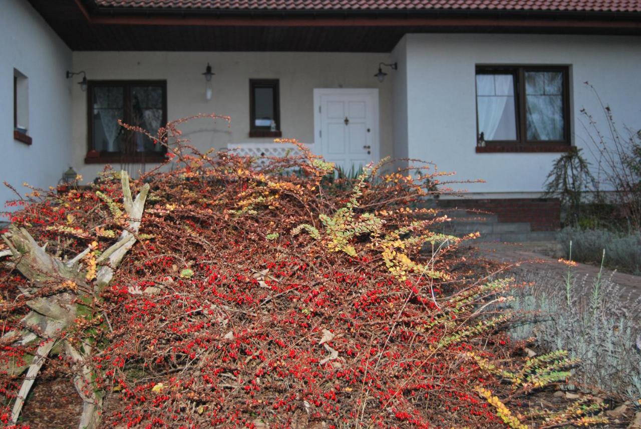 Pokoje nad Młynem - B&B