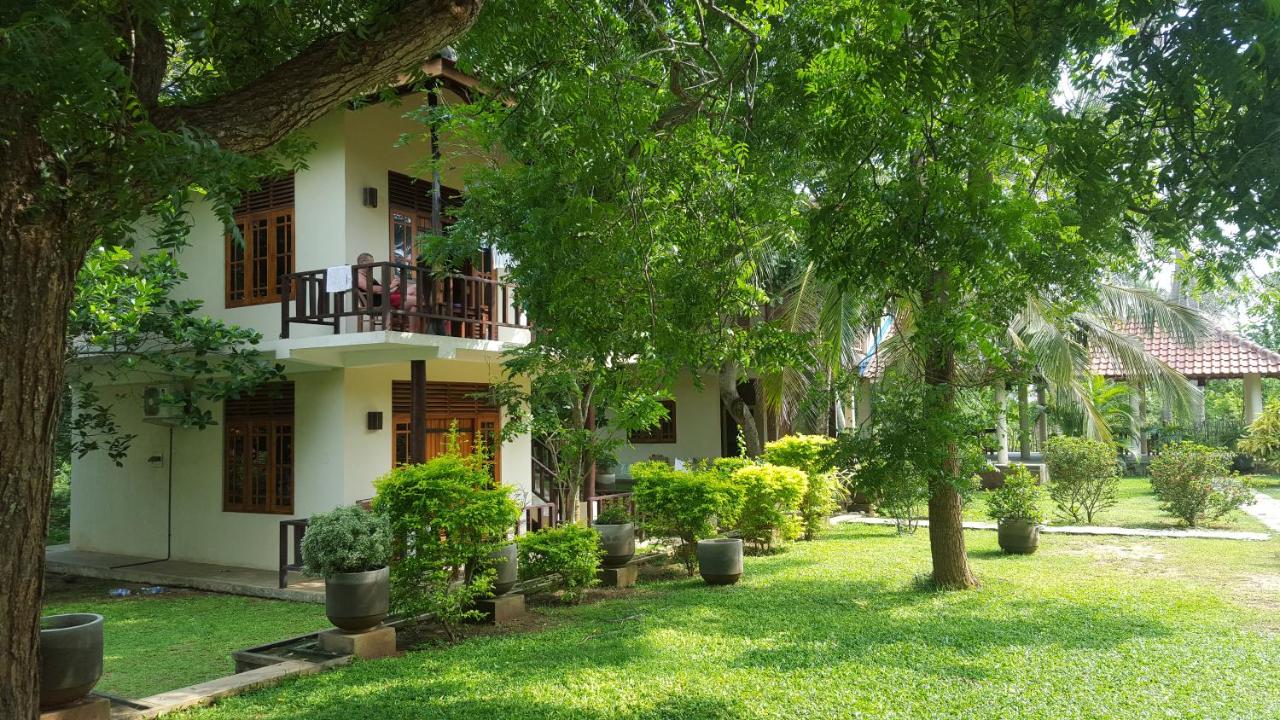 Green turtle - Bed and Breakfast