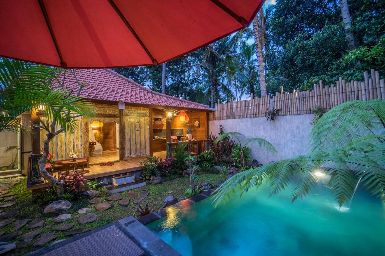 B&B Ubud - The Forest Villa Ubud - Bed and Breakfast Ubud