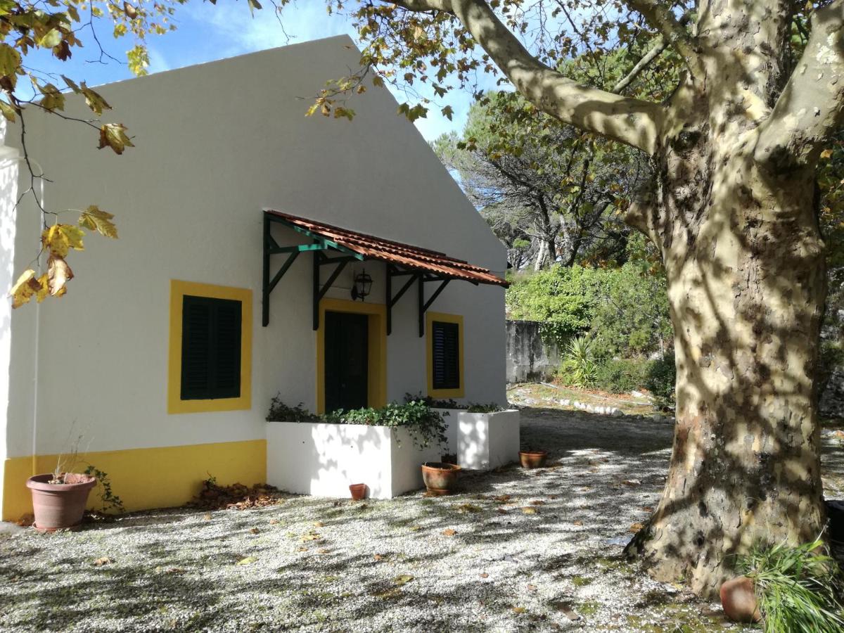 Vakantiehuis