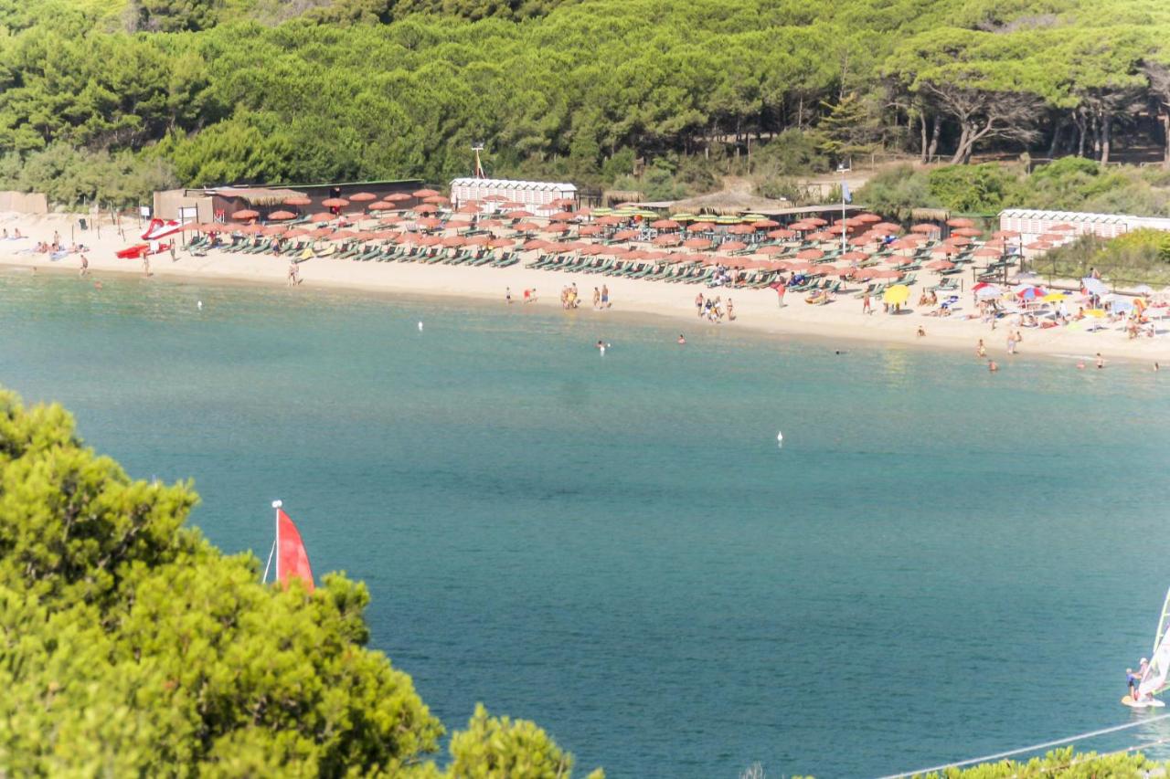 Appartamenti Lungomare Seafront - Goelba - B&B Marina di Campo