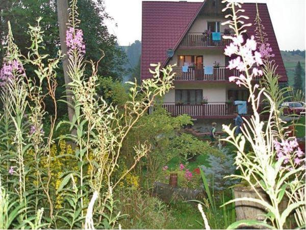 Pokoje Gościnne Oliwka - Bed and Breakfast Poronin