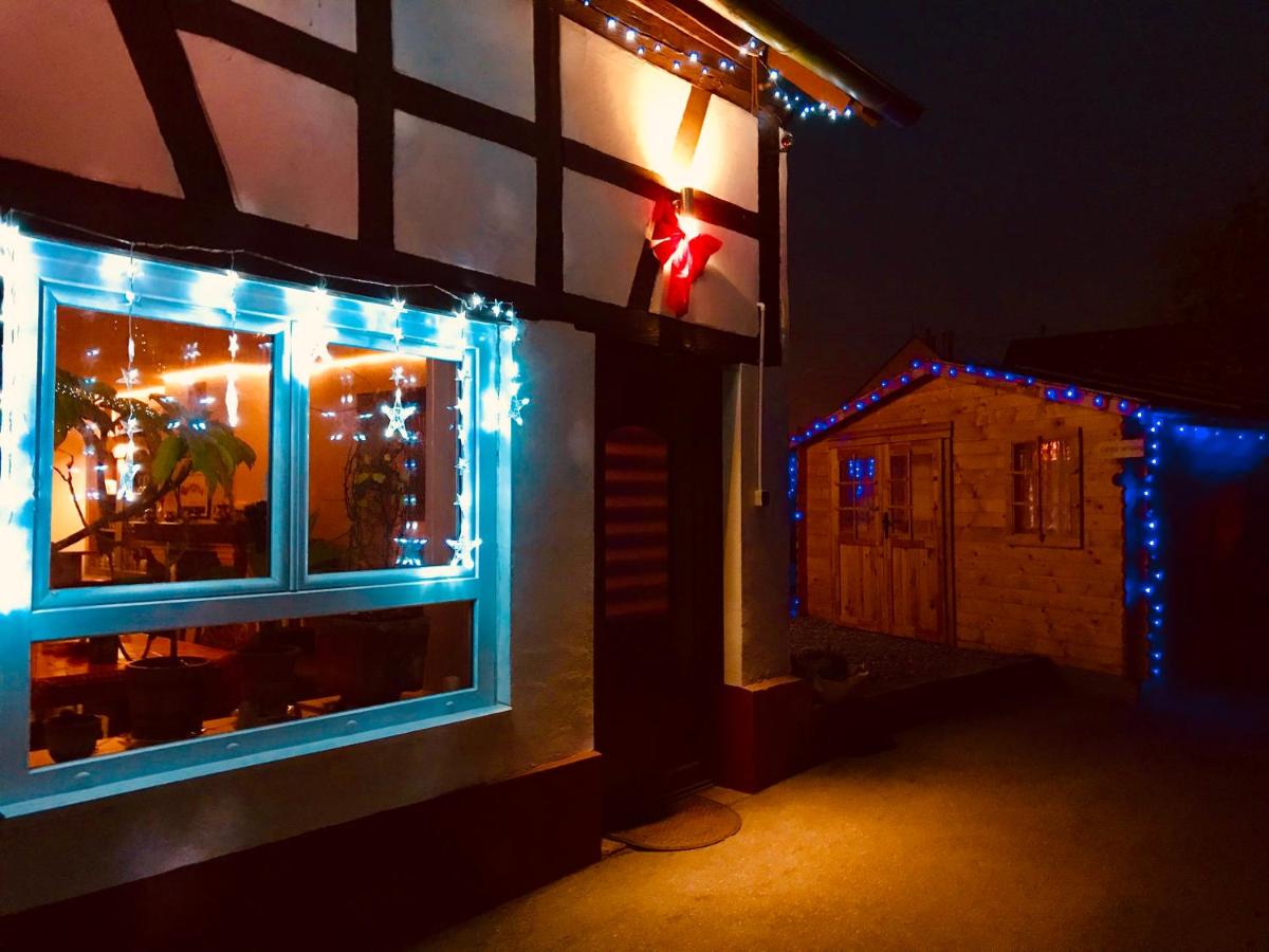 Apartment - Erdgeschoss