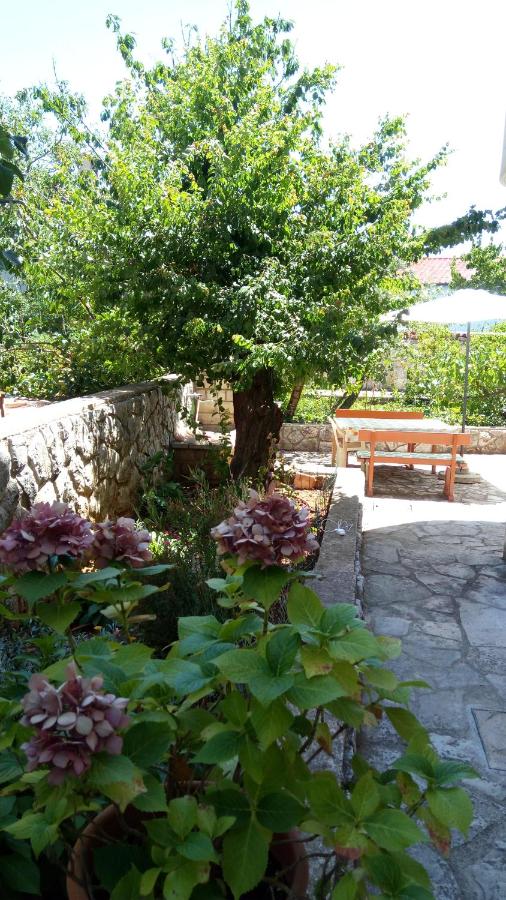 Apartmani Vitković II Cres - Ferienwohnung Cres (Stadt)