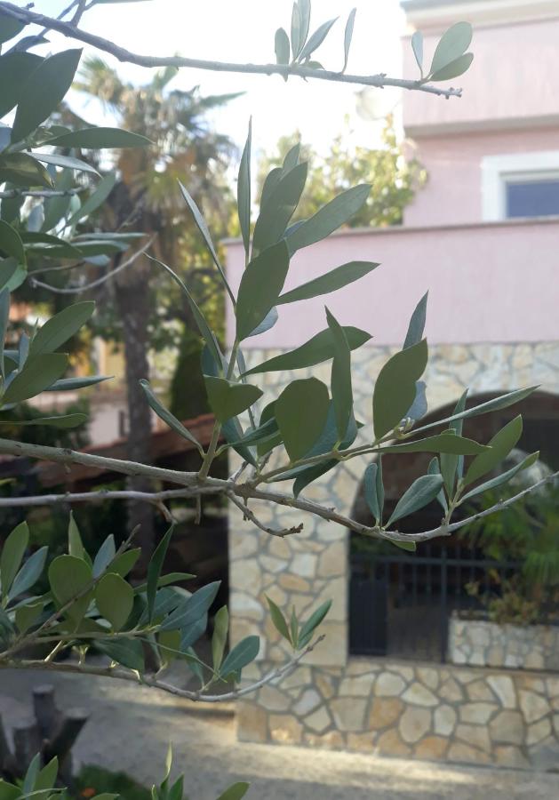 Otok Krk Apartments - B&B