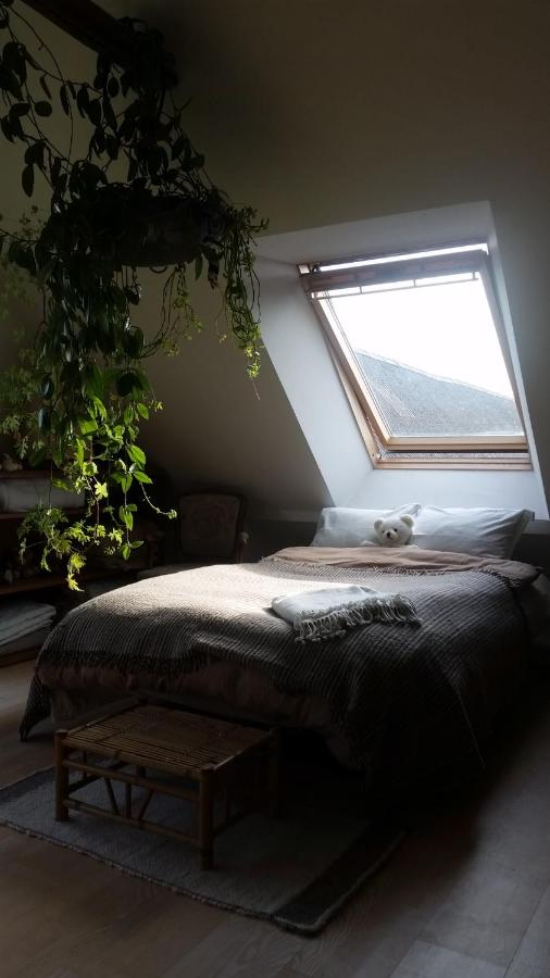 Habitación Doble con vistas al jardín