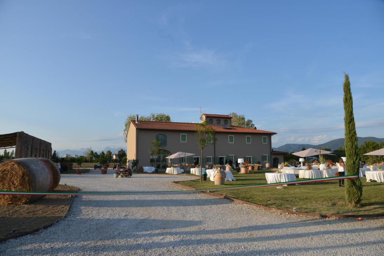 Fattoria L'Olmetto - B&B
