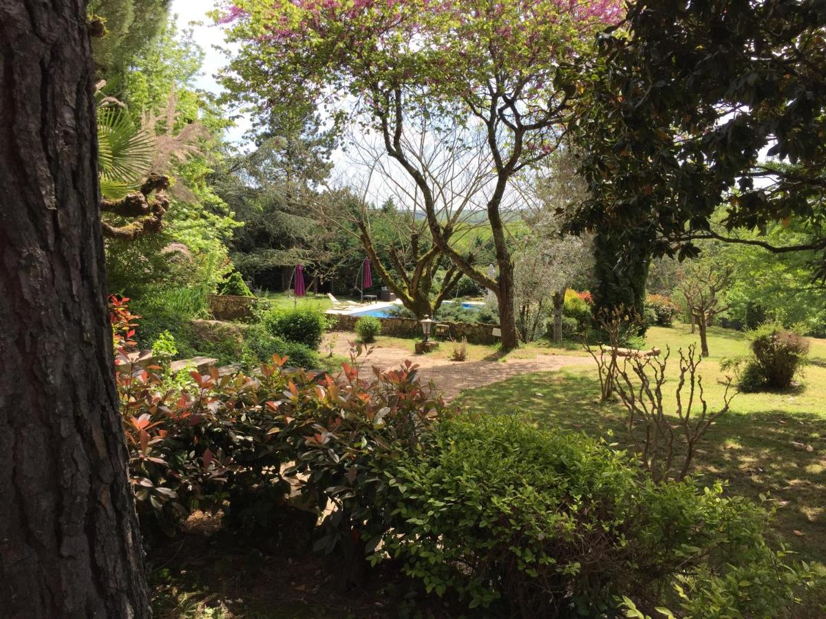 Double Room with Park View