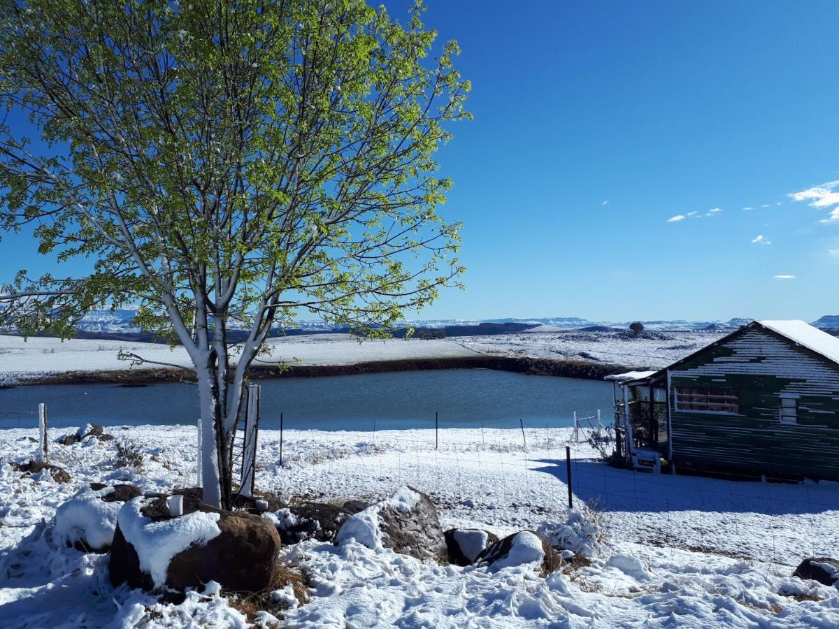 B&B Underberg - The Tin Shack - Bed and Breakfast Underberg