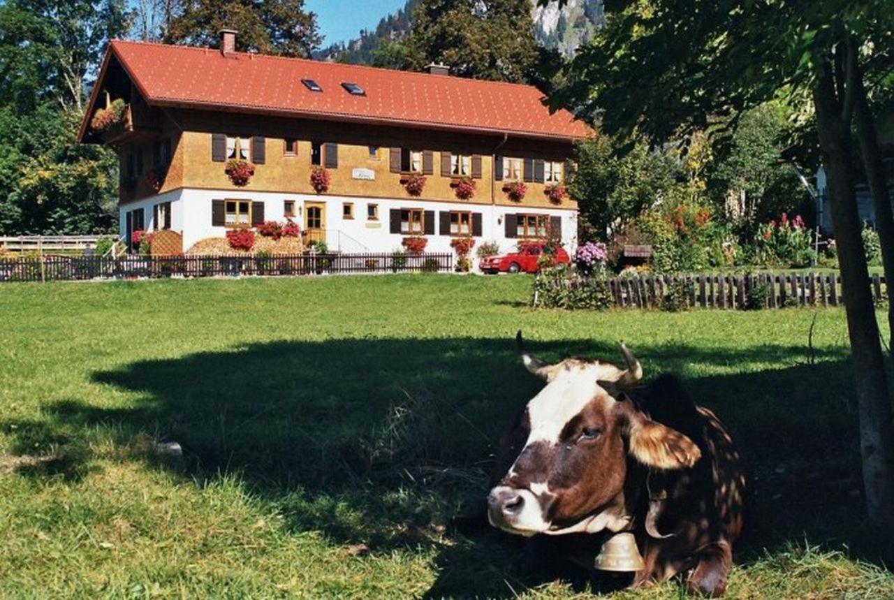 B&B Bad Hindelang - Gästehaus Hedwig - Bed and Breakfast Bad Hindelang