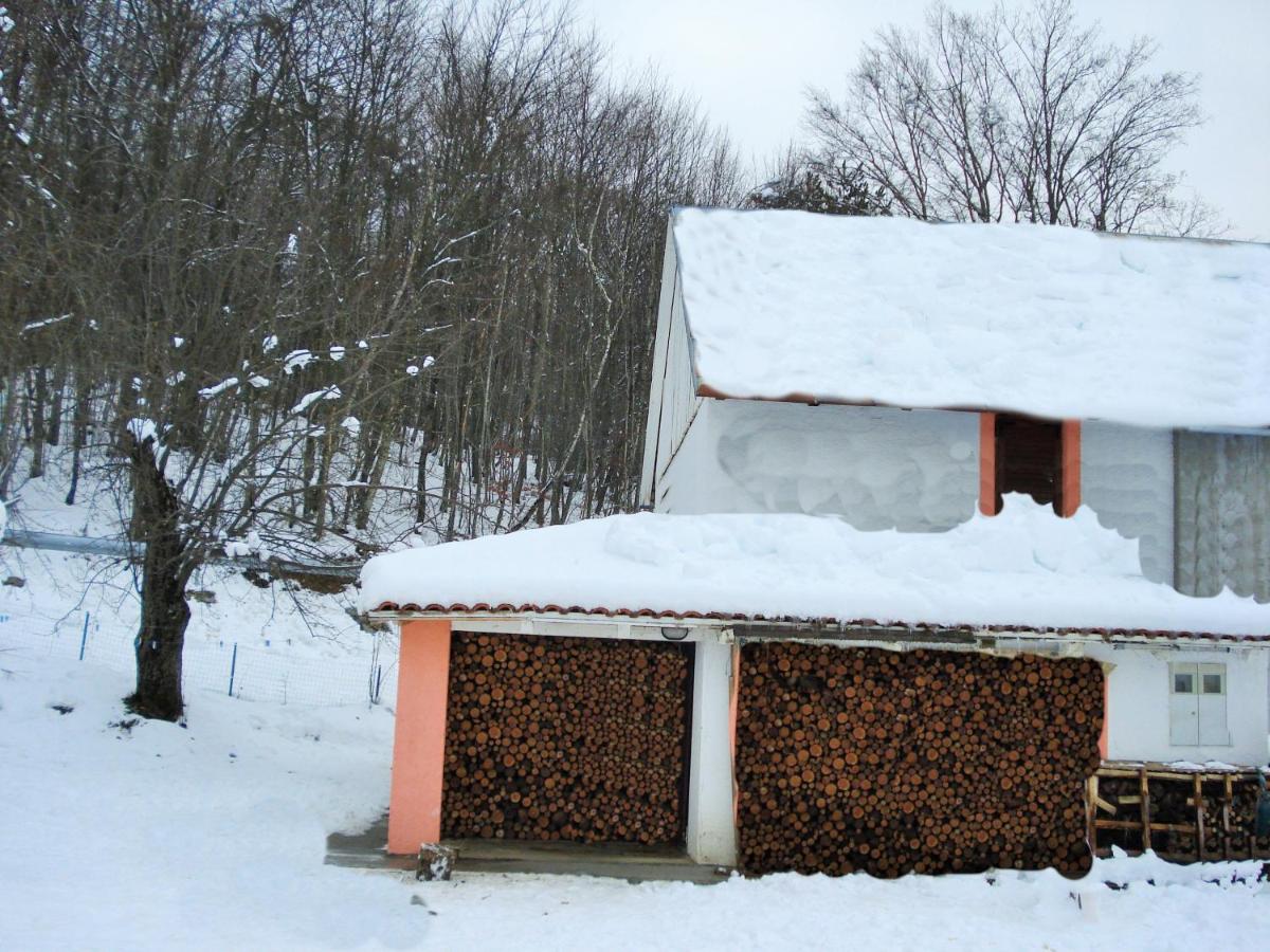 Holiday House Trnovac - Chambres d’hôtes