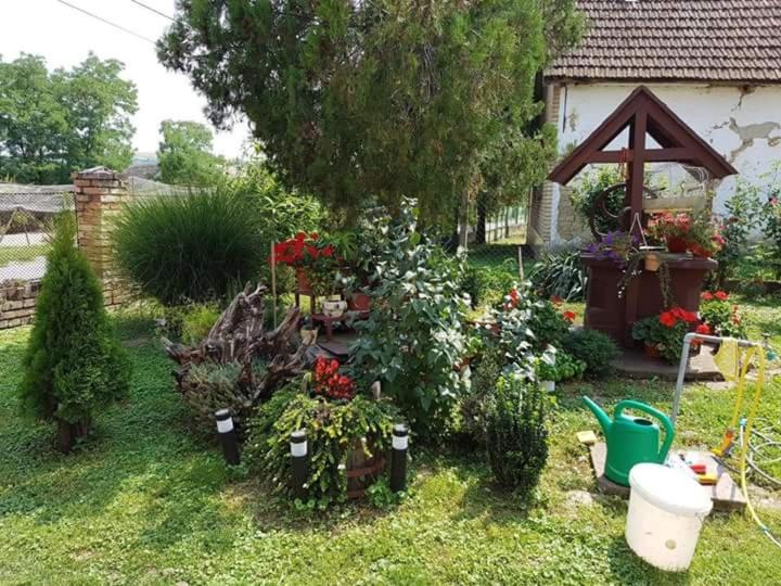 Apartman Kalinka - B&B