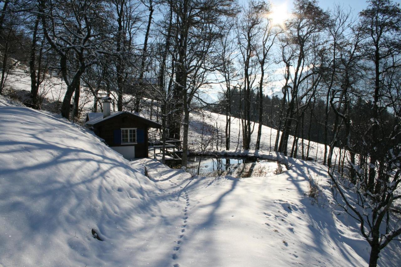 B&B Bartholomäberg - Kleines Paradies Montafon - Bed and Breakfast Bartholomäberg