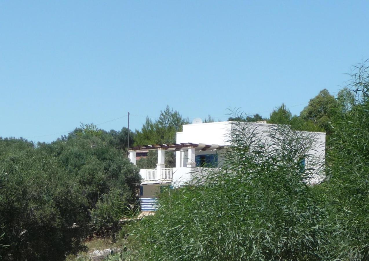 Appartamento Casa dell'Olivo - B&B