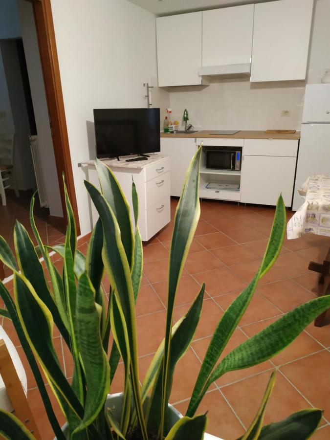 B&B Grosseto - Gemini Appartamenti - Bed and Breakfast Grosseto