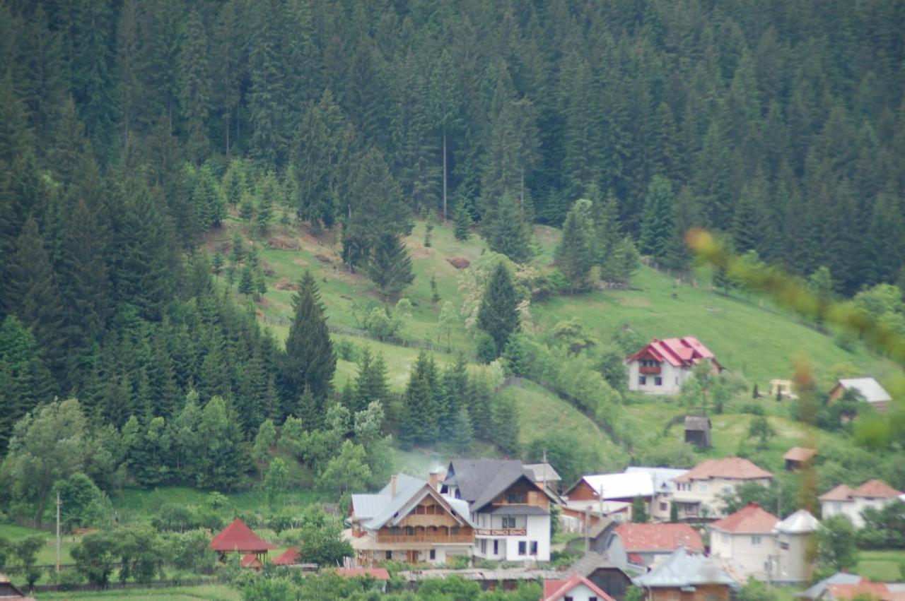 Pensiunea Casa Elvira - Bed and Breakfast