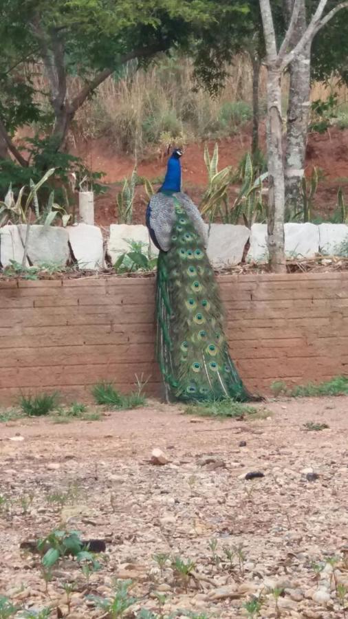 Double Room with Shared Toilet