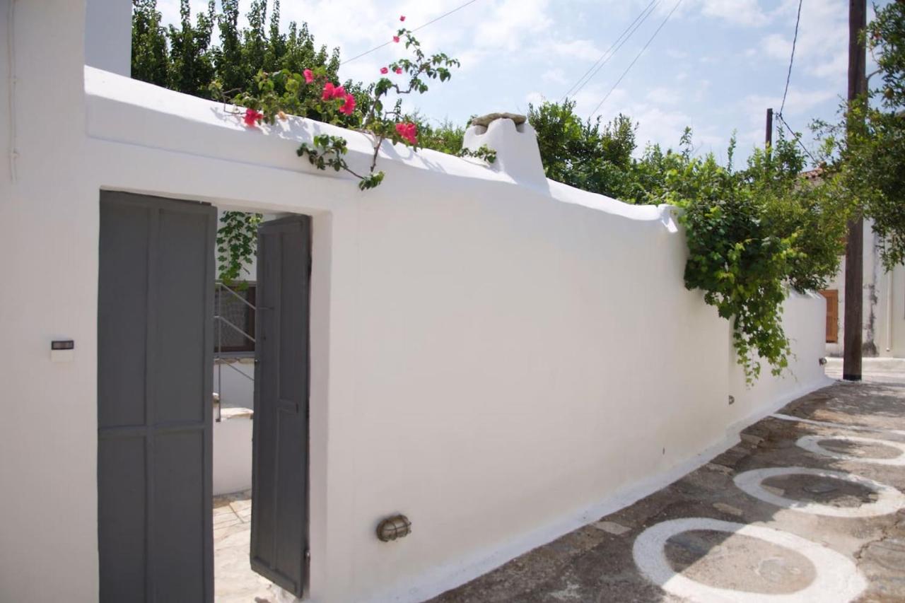 B&B Chóra - Village House in Hora-Pythagorio, Samos Island - Bed and Breakfast Chóra
