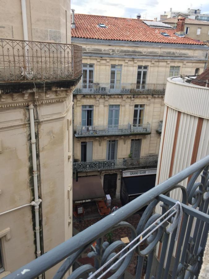 Charmant appartement hyper centre Comédie - Chambres d’hôtes