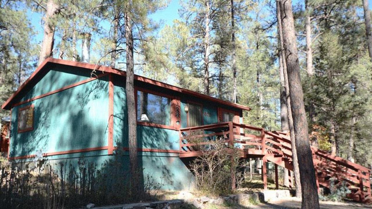 Roadrunner - Cozy Cabin - Whirlpool and Hot Tub - Chambres d’hôtes