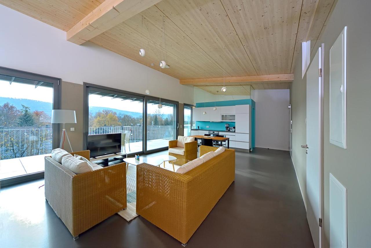 Penthouse Apartment