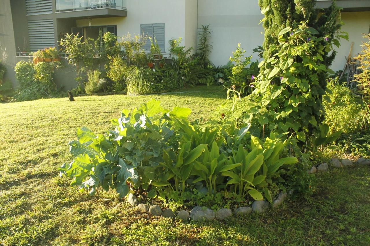 Rochas Shared Apart Garden Refuge - Chambres d’hôtes
