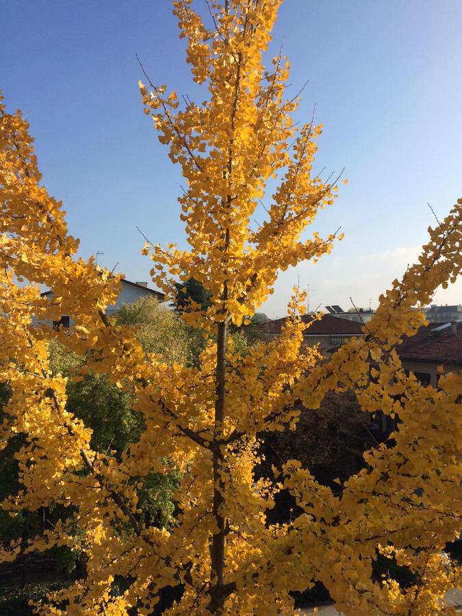 B&B Villa Lattes - B&B Vicenza