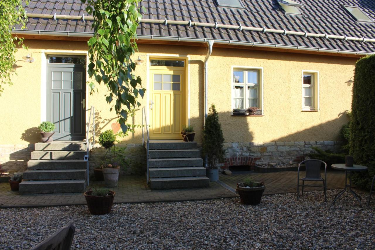 Apartment - Erdgeschoss