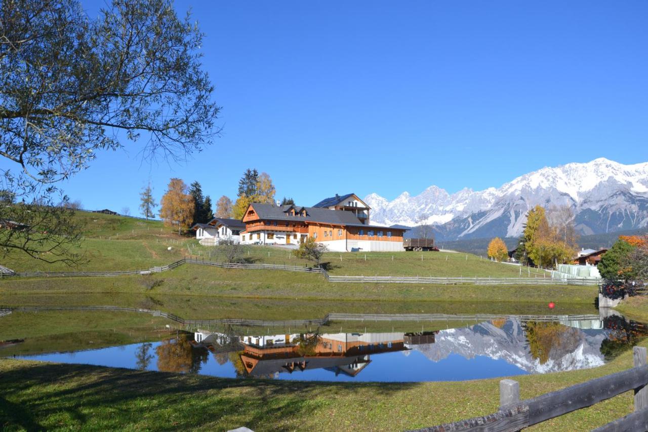 Appartement - das kleine Bleiberger by Schladmingurlaub - B&B
