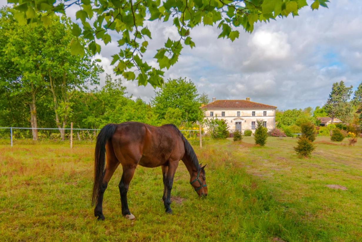 B&B La Gripperie-Saint-Symphorien - Domaine TerrOcéane - Bed and Breakfast La Gripperie-Saint-Symphorien