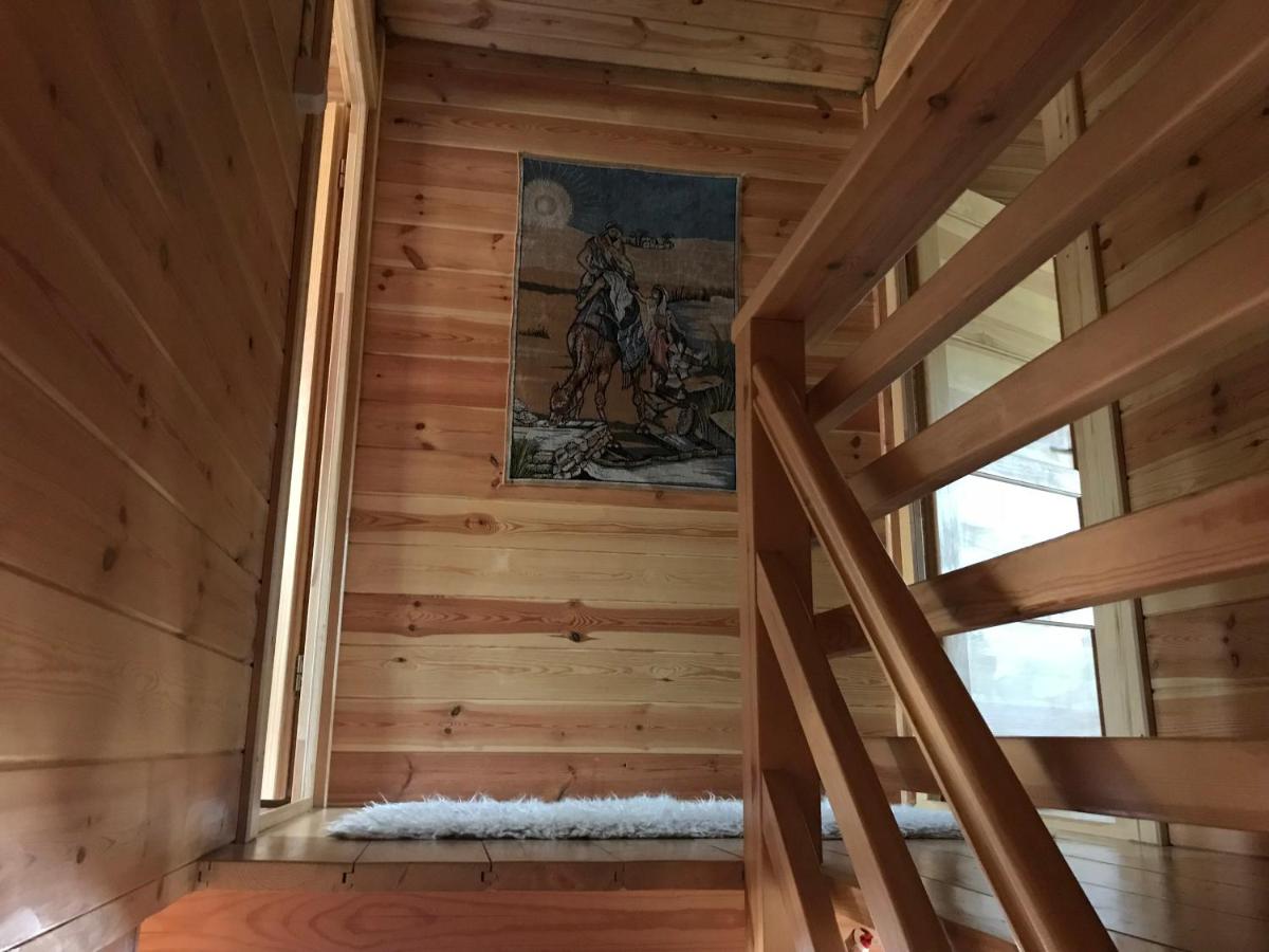Domek Borsk - B&B