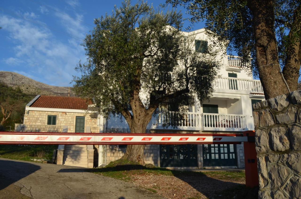 Apartments TMV Dragovic - B&B