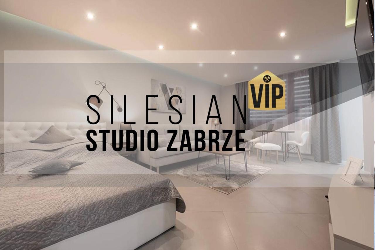 B&B Zabrze - Studio Silesian Vip - Bed and Breakfast Zabrze