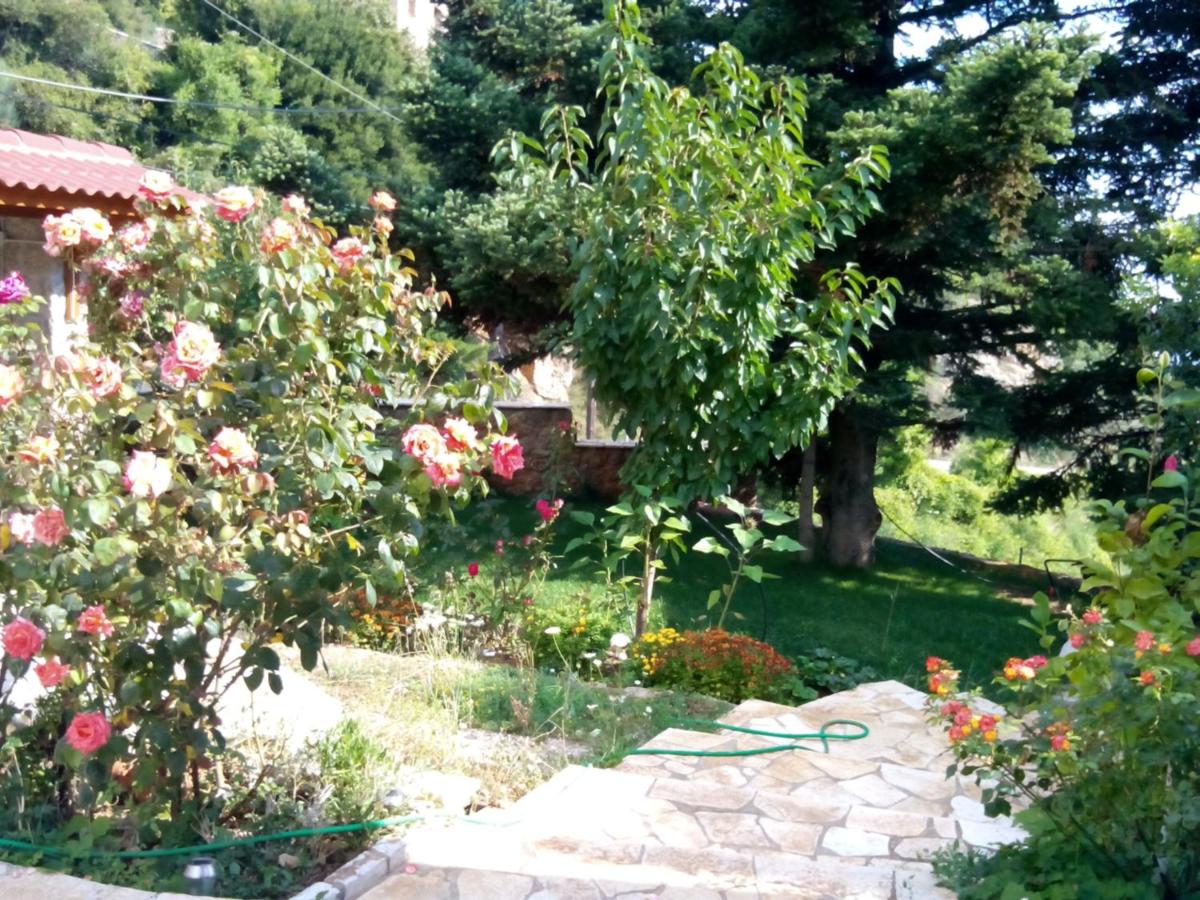Elatos cozy Studio - B&B
