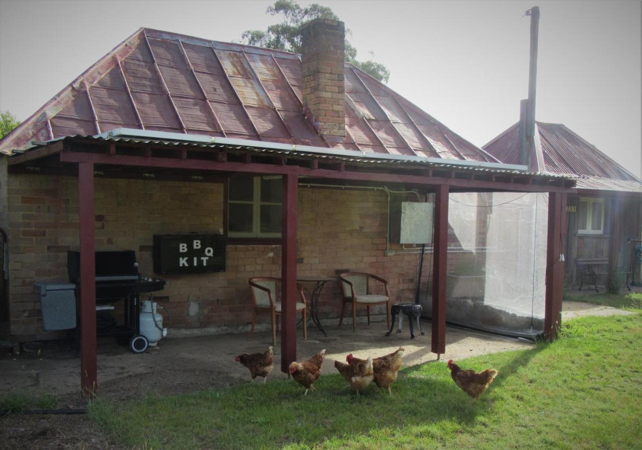 B&B Marrangaroo - Fernbrook Cottage - Bed and Breakfast Marrangaroo