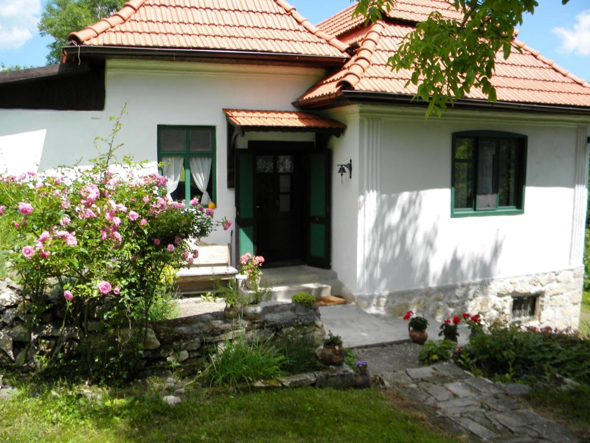 Casa Fără Ceas - B&B