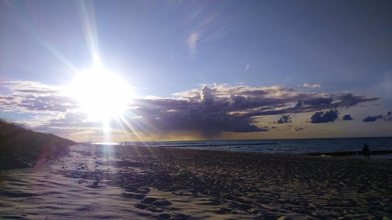 Residenz "Zu den 3 Tannen" 5 - B&B Zingst