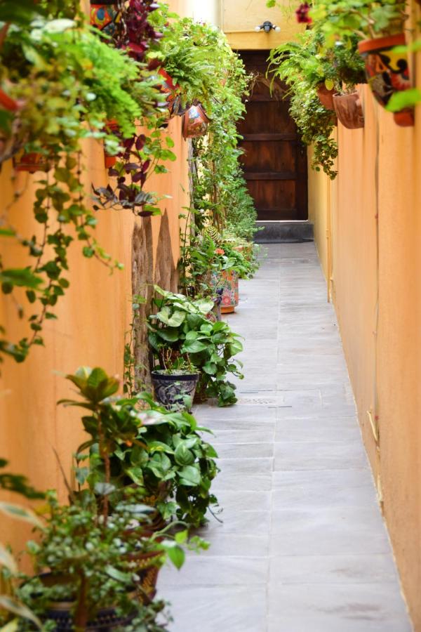 Casa Maricela B&B - Ferienwohnung San Miguel de Allende