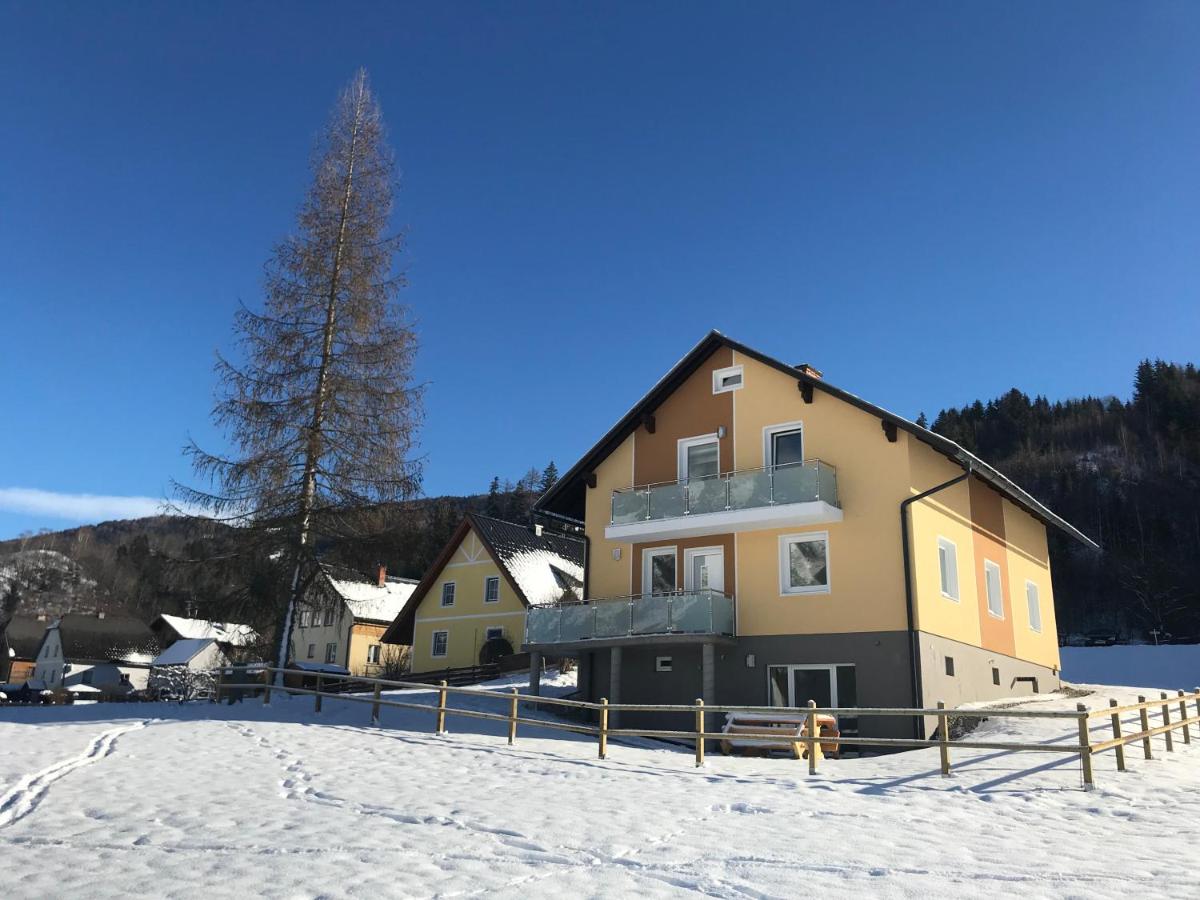 Grimming-Panorama - Ferienwohnung Niederöblarn