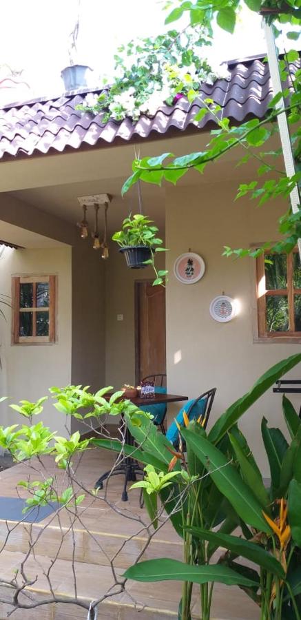 Little Elephant Cottage - B&B