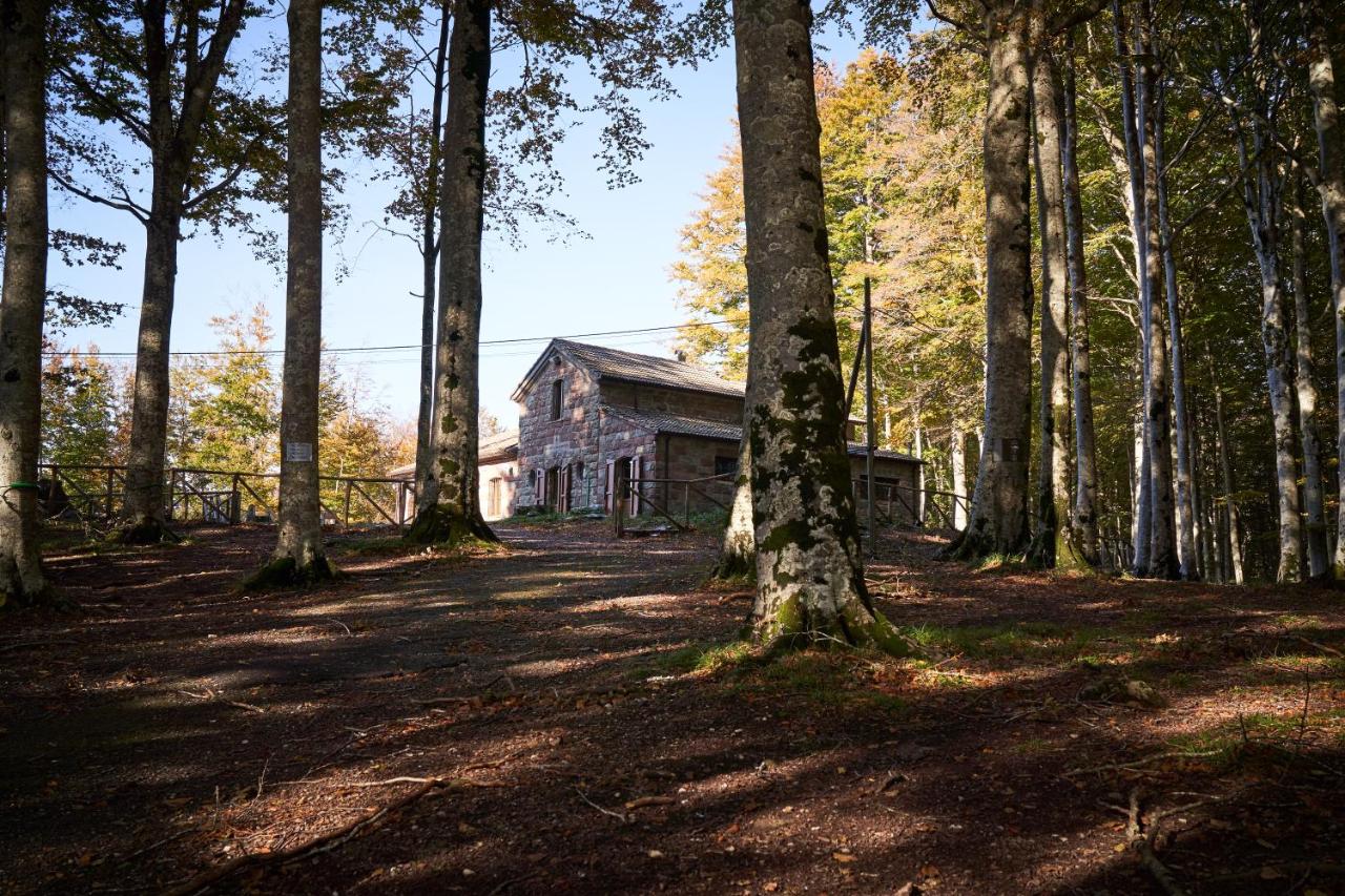 B&B Castel del Piano - Chalet Vecchio Rifugio - Monte Amiata - Bed and Breakfast Castel del Piano