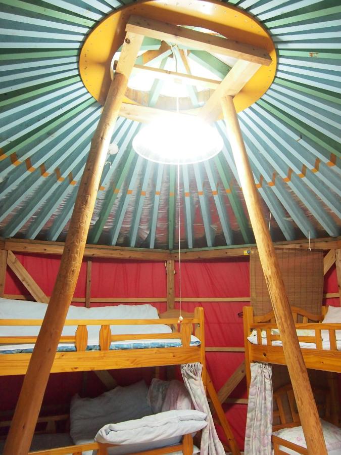 Mongolian-Style Tent