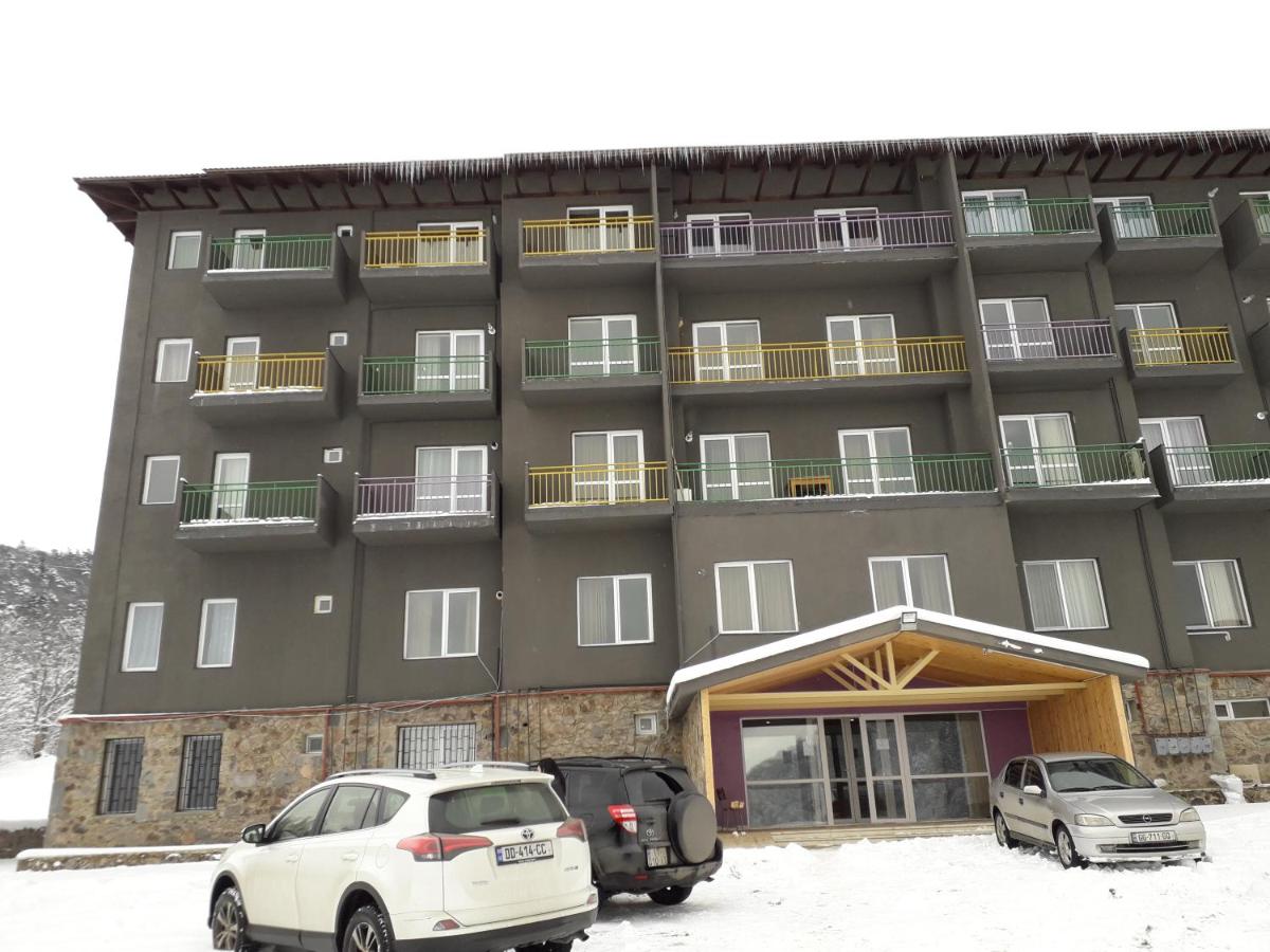 Apartment"Tatra"in Bakuriani - Ferienwohnung