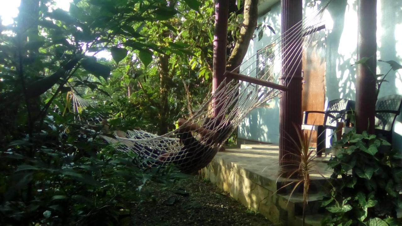 Habitación Individual con vistas al jardín