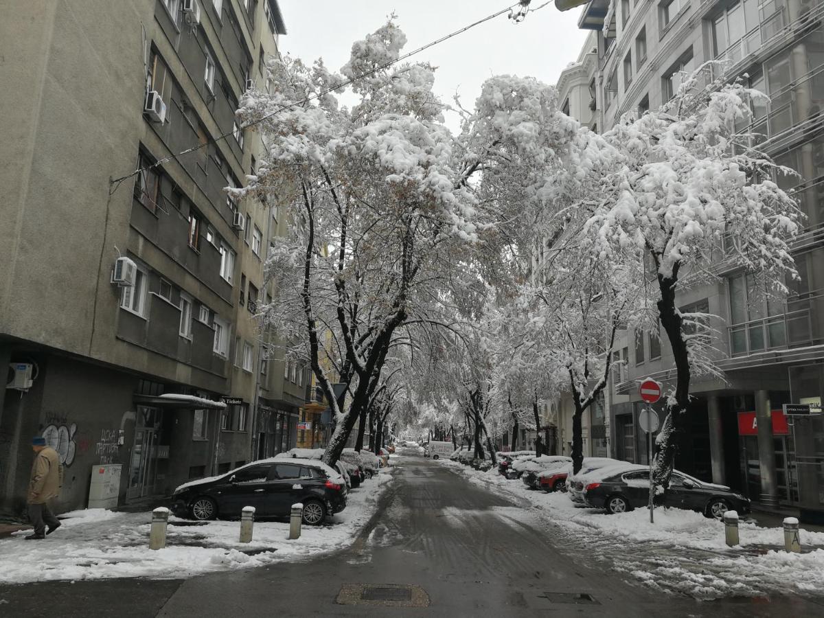 Belgrade city center , Light of Dorcol - Chambres d’hôtes Belgrade