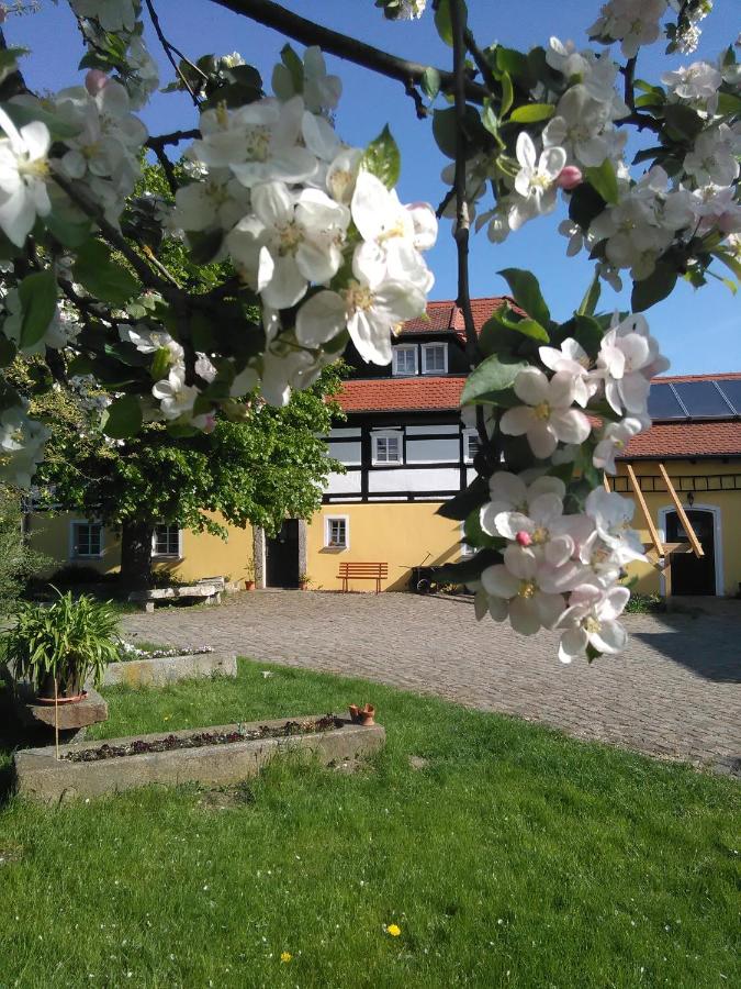 Appartement met uitzicht op de tuin