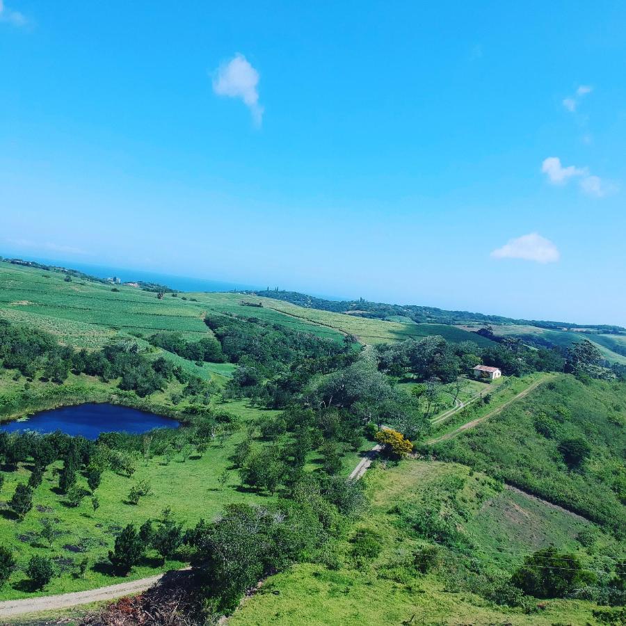 Hill Top Farm Lodge - B&B Sea Park